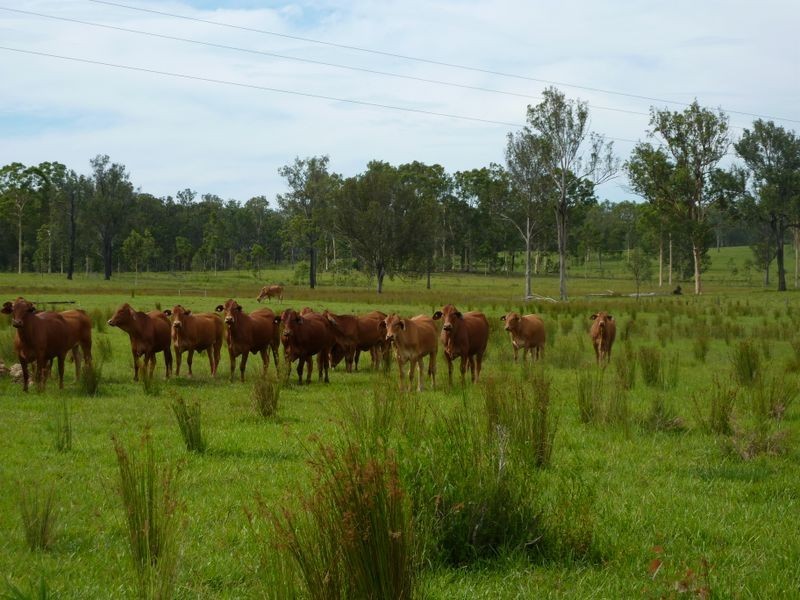 Boormans Lane, Southgate NSW 2460