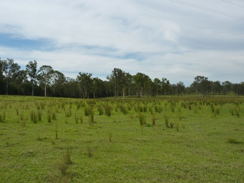 Boormans Lane, Southgate NSW 2460