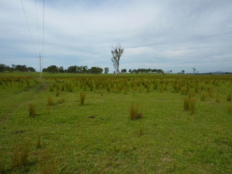 Boormans Lane, Southgate NSW 2460