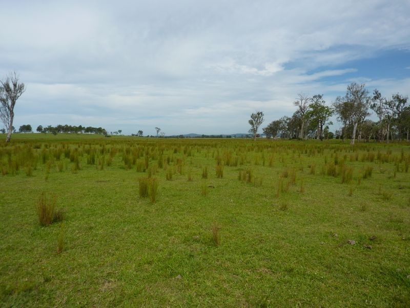 Boormans Lane, Southgate NSW 2460