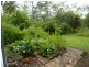 1448 Summerland Way, Mountain View NSW 2460
