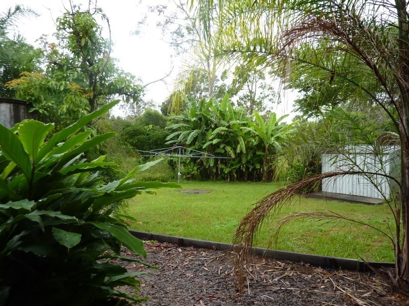 1448 Summerland Way, Mountain View NSW 2460