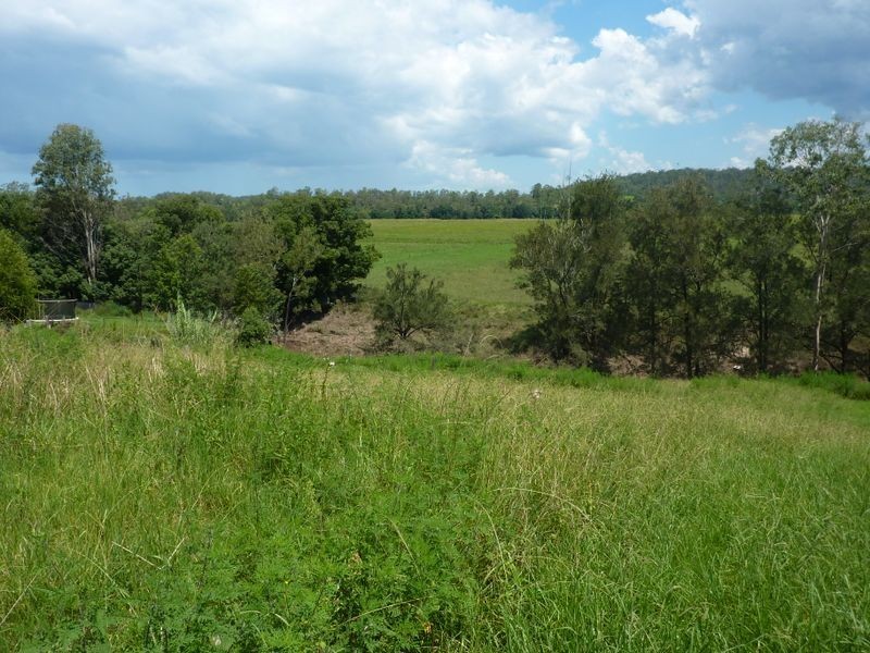 37 Grafton Street, Copmanhurst NSW 2460