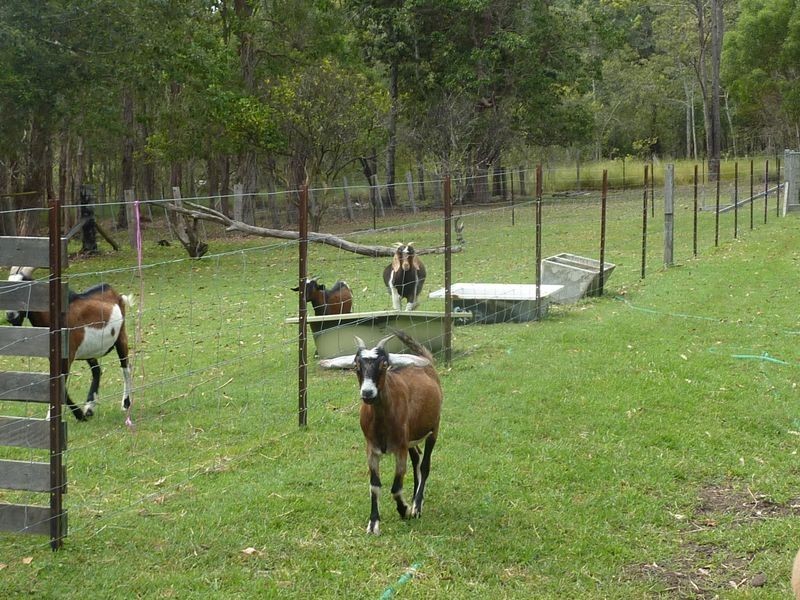 1551 Gwydir Highway, Ramornie NSW 2460