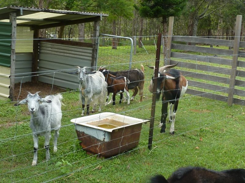 1551 Gwydir Highway, Ramornie NSW 2460