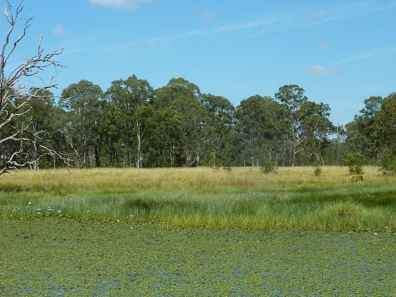 107 Reilley’s Lane, Clarenza NSW 2460