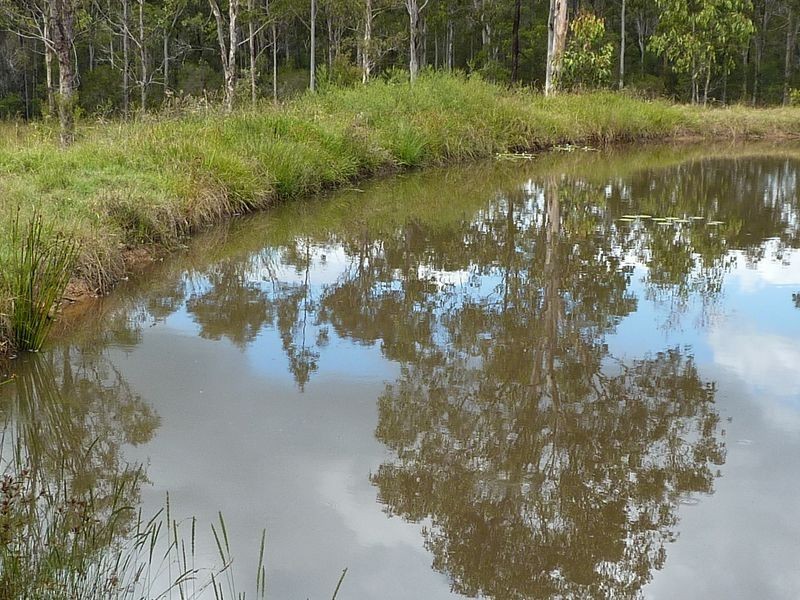 2463 Summerland Way, Dilkoon NSW 2460