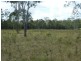 2463 Summerland Way, Dilkoon NSW 2460