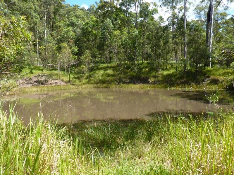 Wooli Road, Pillar Valley NSW 2462