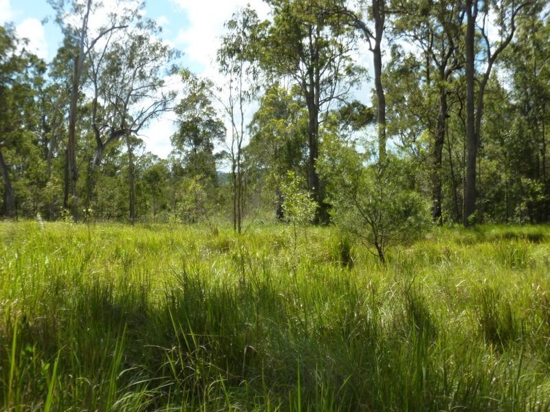 Wooli Road, Pillar Valley NSW 2462