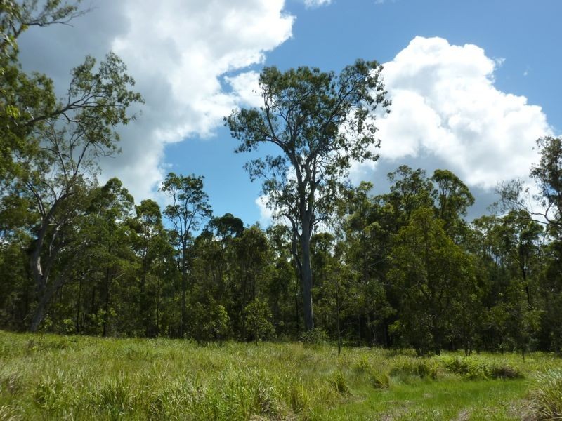 Wooli Road, Pillar Valley NSW 2462
