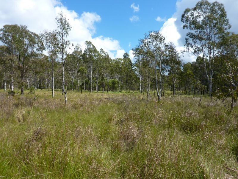 Wooli Road, Pillar Valley NSW 2462