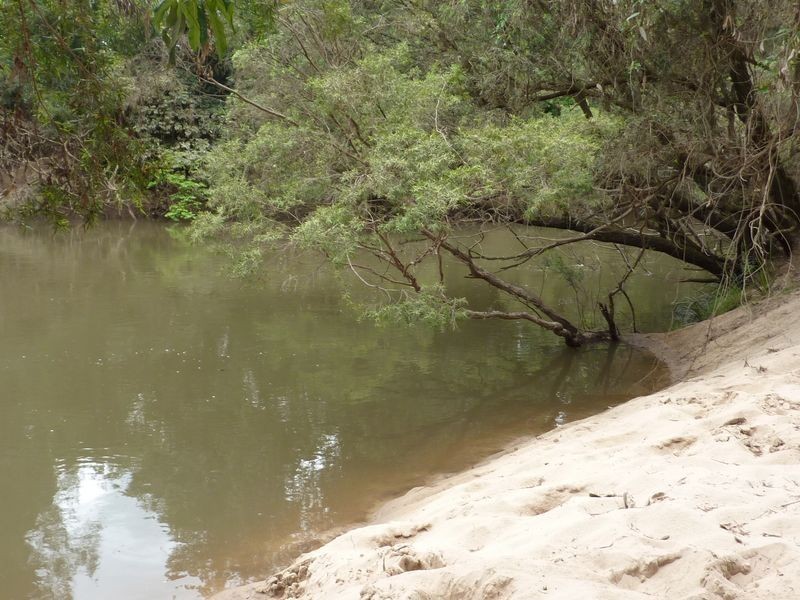 145 Levenstrath Road, Levenstrath NSW 2460
