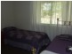 145 Levenstrath Road, Levenstrath NSW 2460