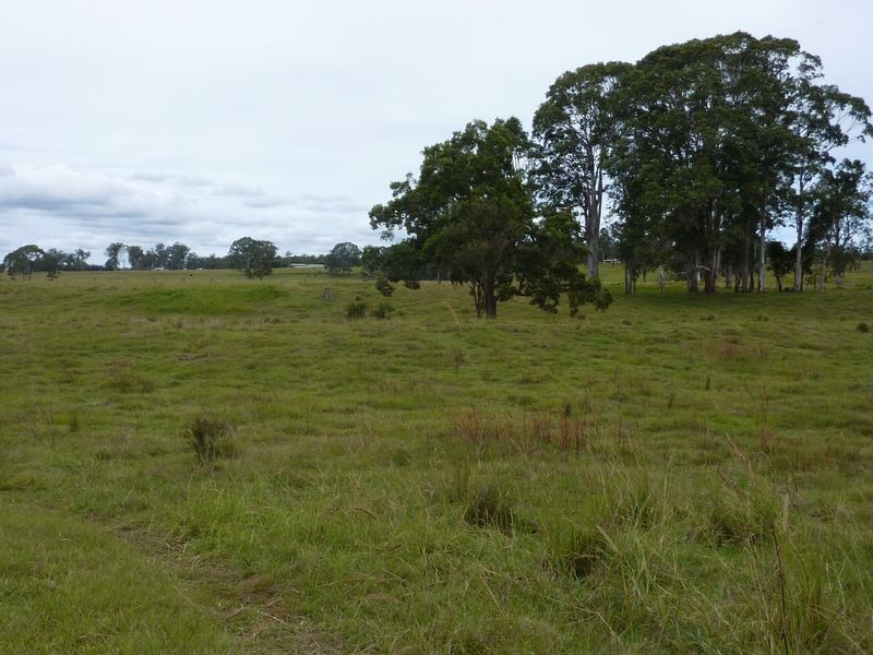 145 Levenstrath Road, Levenstrath NSW 2460