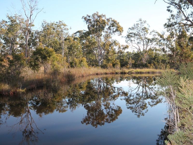 54 Florda Red Drive, Wells Crossing NSW 2460