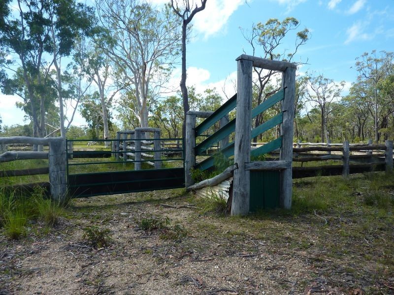 54 Florda Red Drive, Wells Crossing NSW 2460