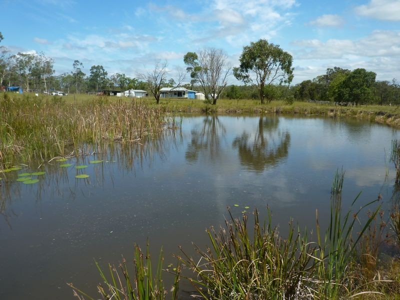 54 Florda Red Drive, Wells Crossing NSW 2460