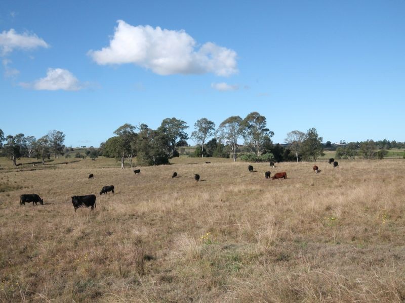 270 Seelands Hall Road, Seelands NSW 2460