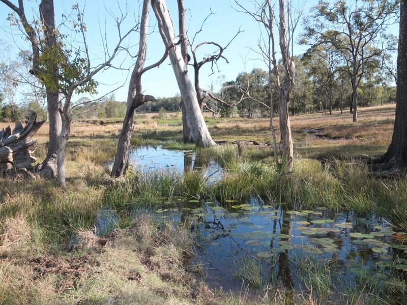270 Seelands Hall Road, Seelands NSW 2460