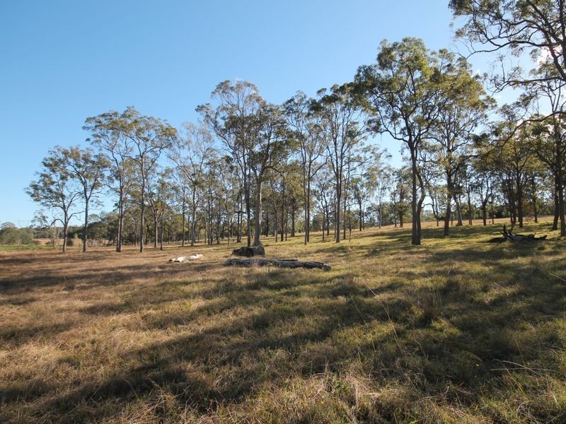 270 Seelands Hall Road, Seelands NSW 2460
