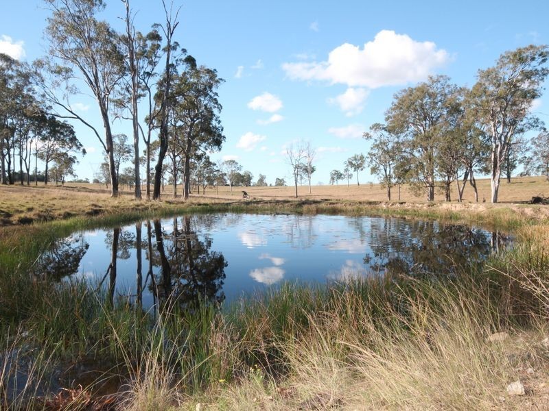 270 Seelands Hall Road, Seelands NSW 2460