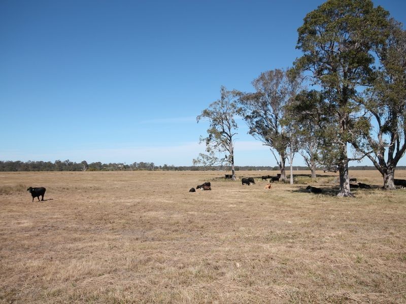 Lot 793 Punt Lane, The Whiteman NSW 2460