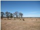 Lot 793 Punt Lane, The Whiteman NSW 2460