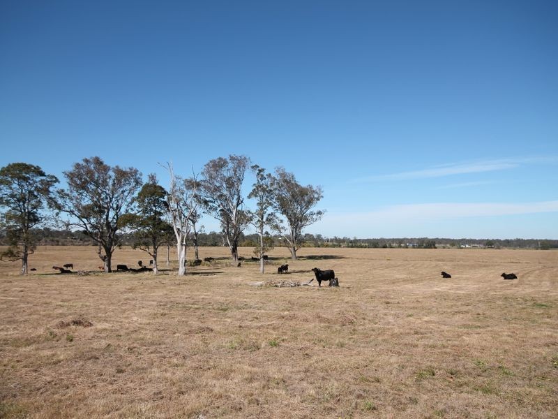 Lot 793 Punt Lane, The Whiteman NSW 2460