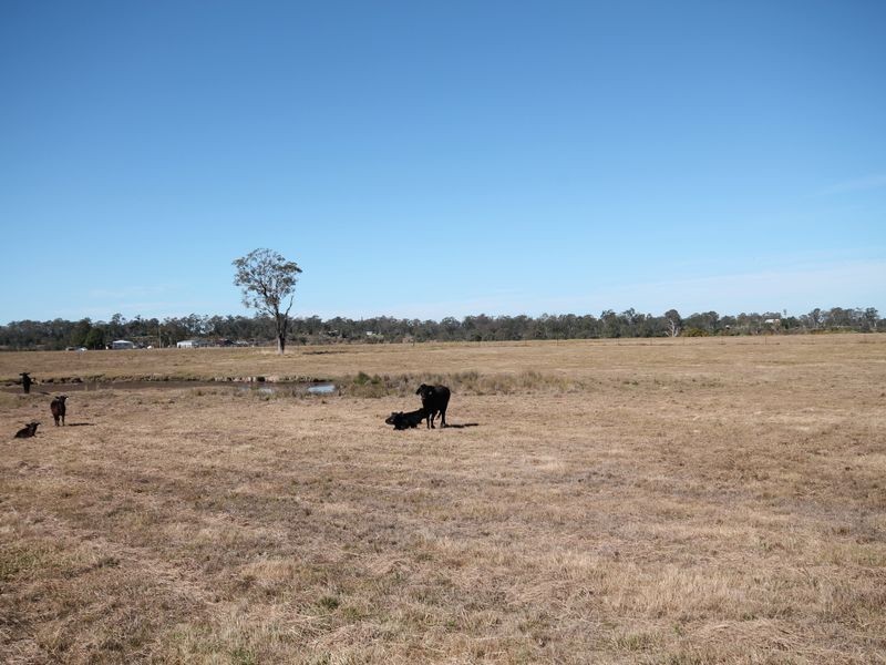 Lot 793 Punt Lane, The Whiteman NSW 2460