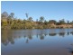 Lot 791 Punt Lane, The Whiteman NSW 2460