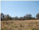 134 Sandy Swamp Road, Coutts Crossing NSW 2460