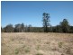134 Sandy Swamp Road, Coutts Crossing NSW 2460