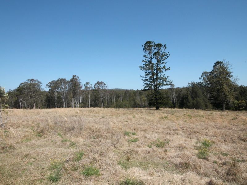 134 Sandy Swamp Road, Coutts Crossing NSW 2460