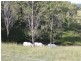 160 Woolwich Road, South Grafton NSW 2460