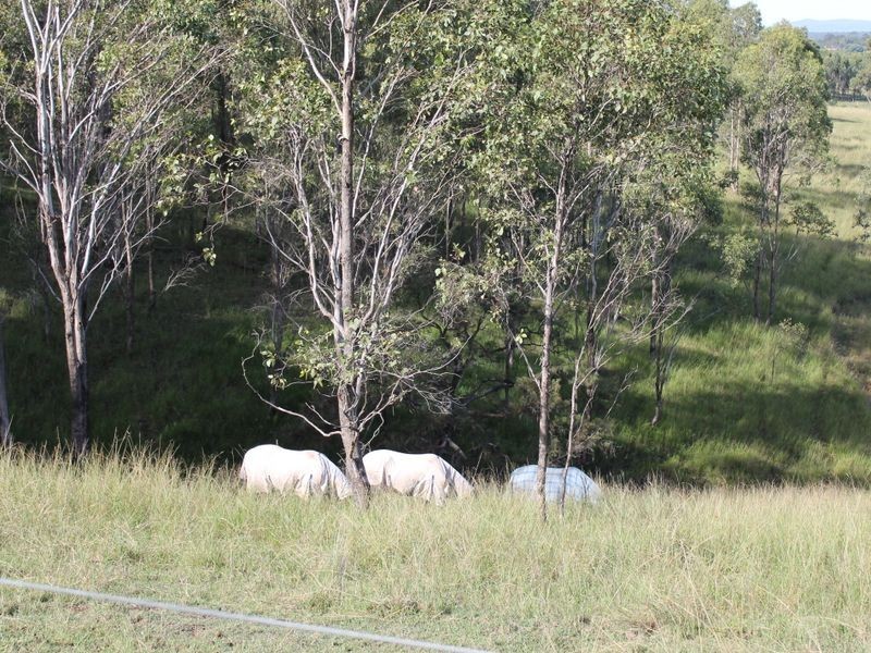 160 Woolwich Road, South Grafton NSW 2460