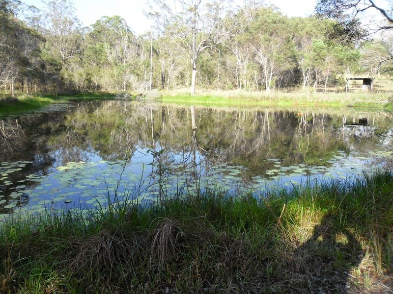 1773 Armidale Road, Coutts Crossing NSW 2460