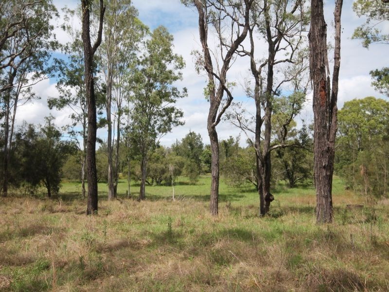 1773 Armidale Road, Coutts Crossing NSW 2460