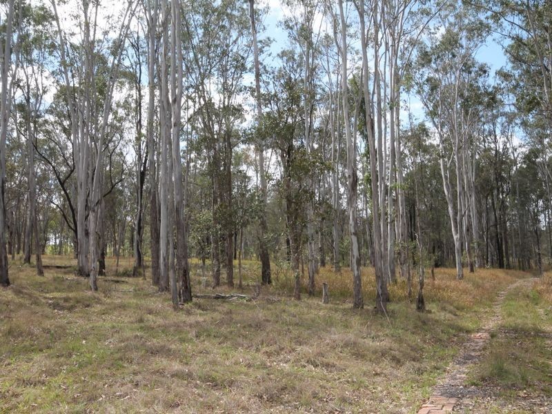 1773 Armidale Road, Coutts Crossing NSW 2460