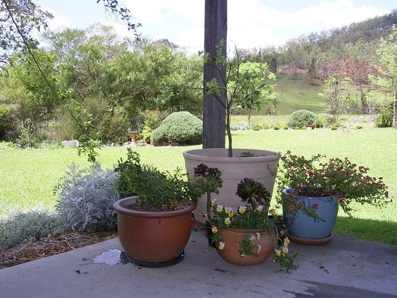 3339 Armidale Road, Nymboida NSW 2460