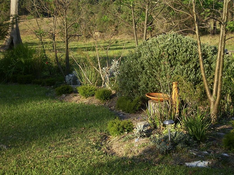 3339 Armidale Road, Nymboida NSW 2460