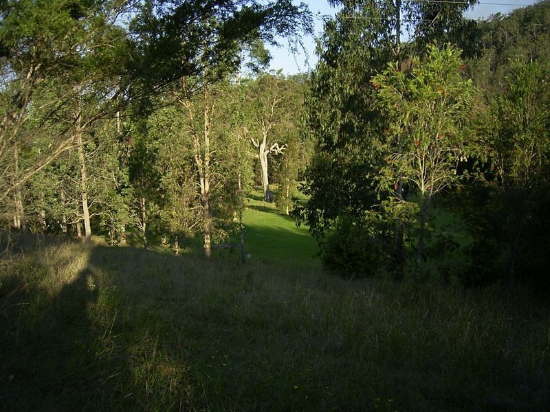 3339 Armidale Road, Nymboida NSW 2460