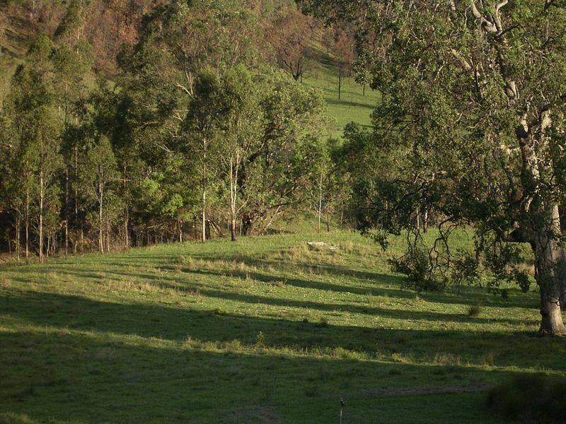 3339 Armidale Road, Nymboida NSW 2460