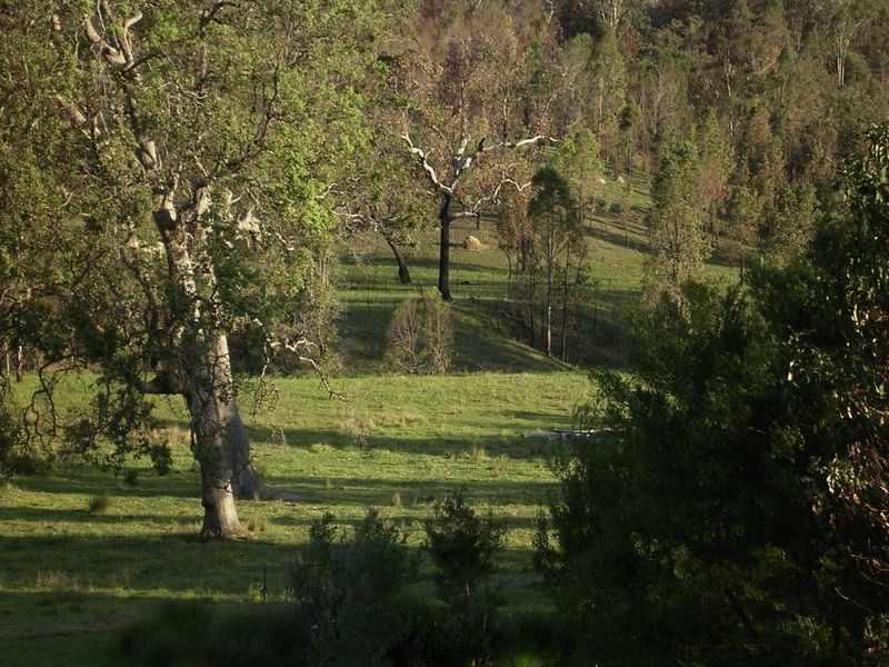 3339 Armidale Road, Nymboida NSW 2460