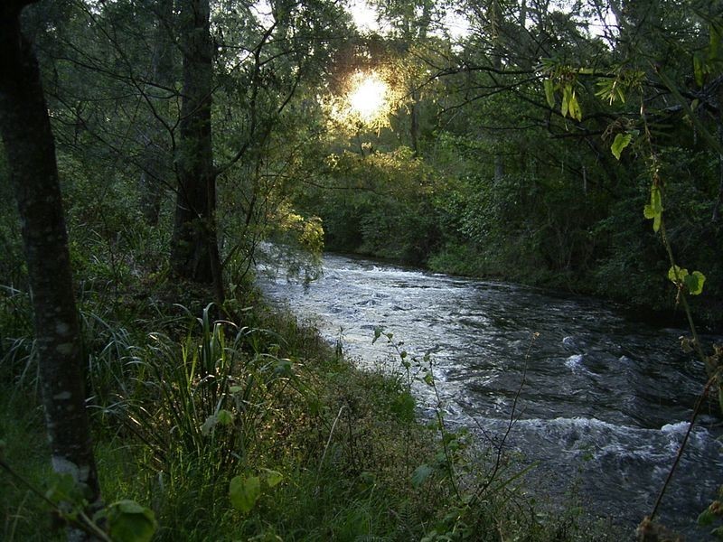 3339 Armidale Road, Nymboida NSW 2460