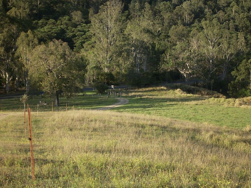 3339 Armidale Road, Nymboida NSW 2460