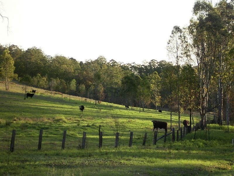 3339 Armidale Road, Nymboida NSW 2460