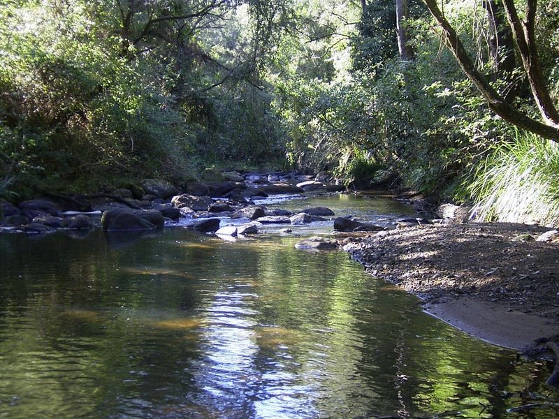 3339 Armidale Road, Nymboida NSW 2460