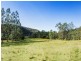 3339 Armidale Road, Nymboida NSW 2460