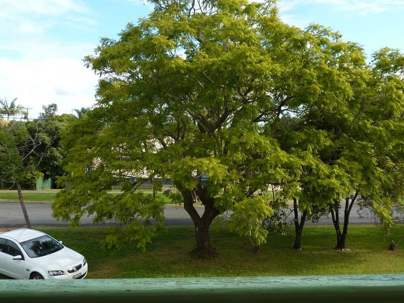 22 Pound Street, Grafton NSW 2460